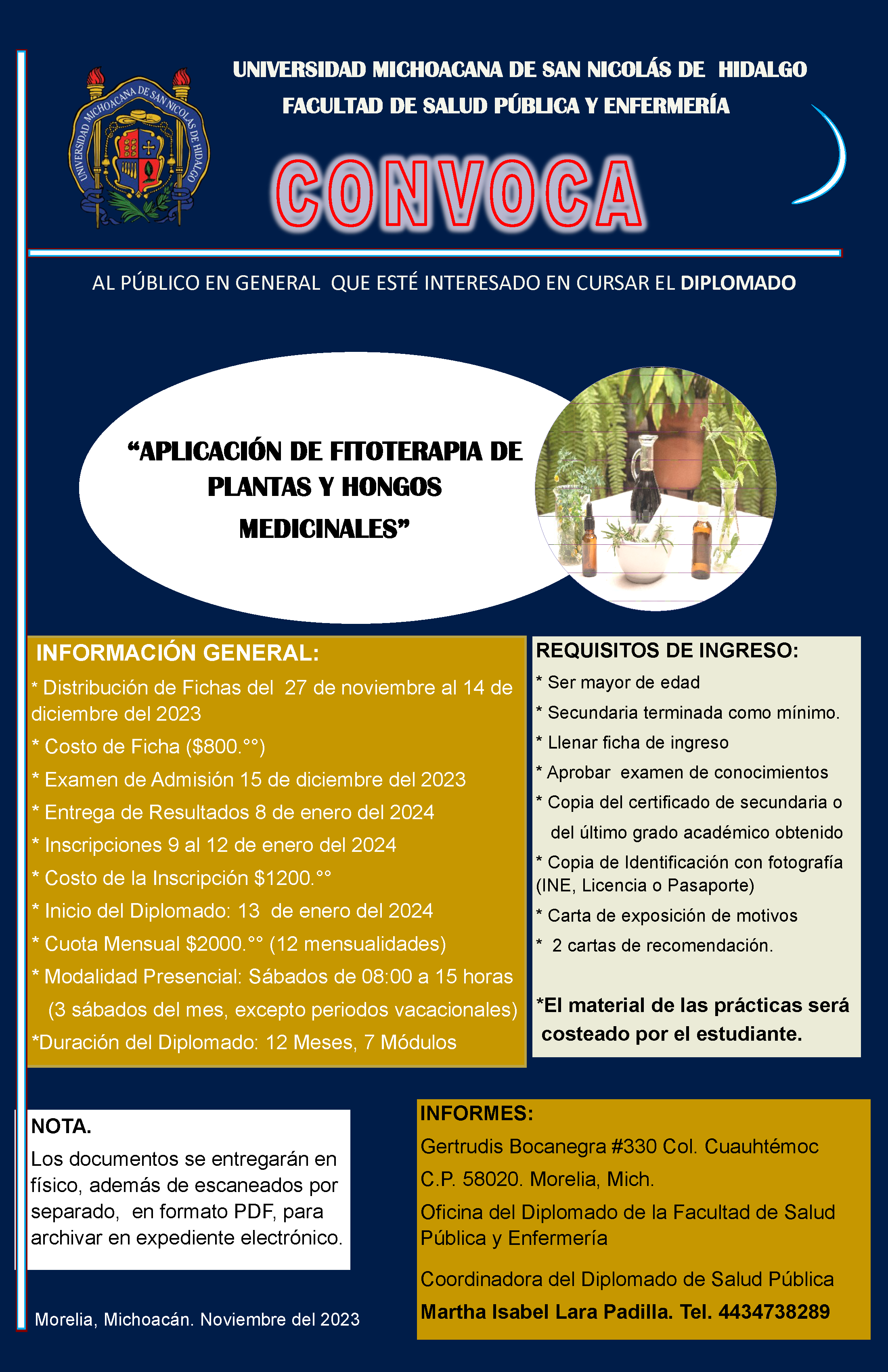 diplomado Aplicación de fitoreapia de Plantas y Hongos Medicinales